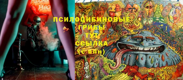 таблы Алзамай