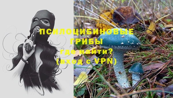 таблы Алзамай