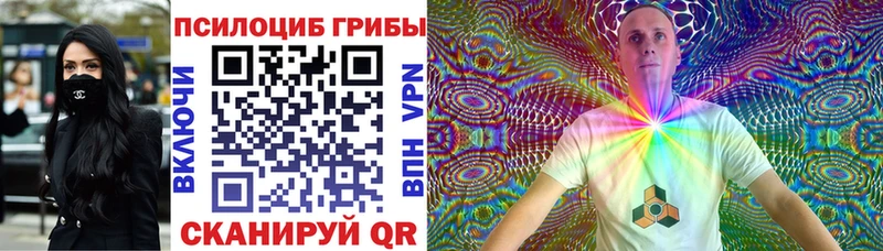 Псилоцибиновые грибы MAGIC MUSHROOMS Богучар